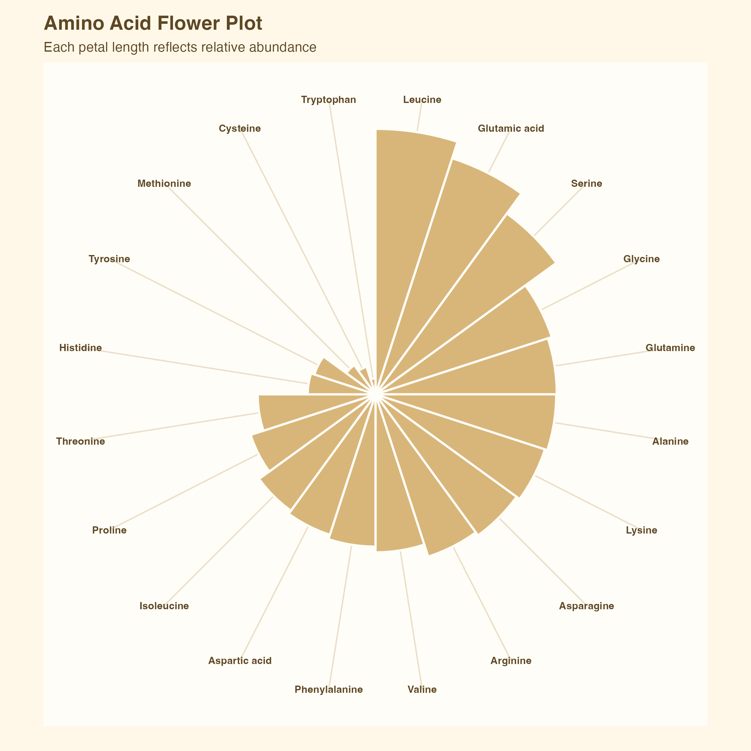 Amino flower plot for chickpeas