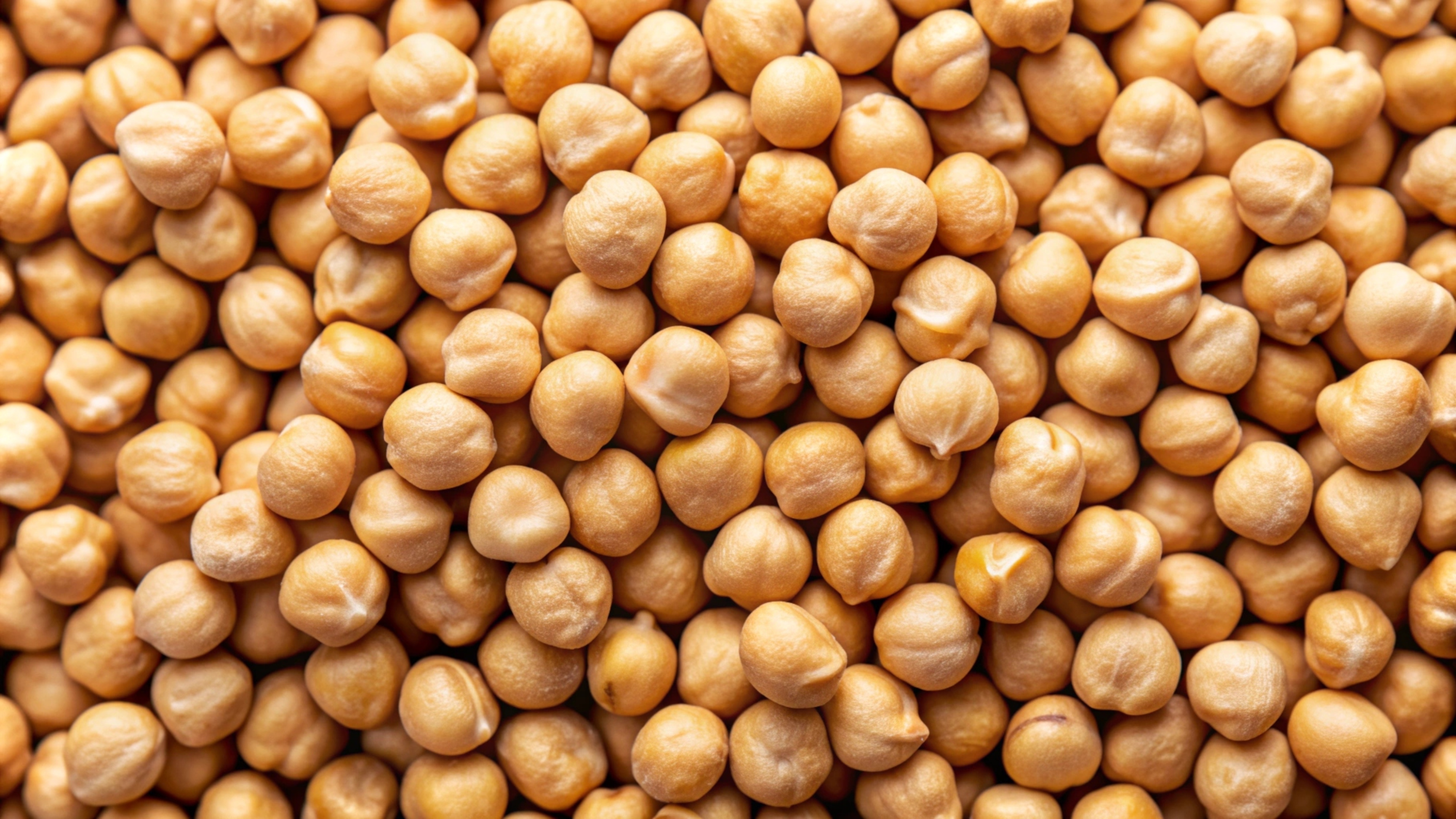 Chickpea picture